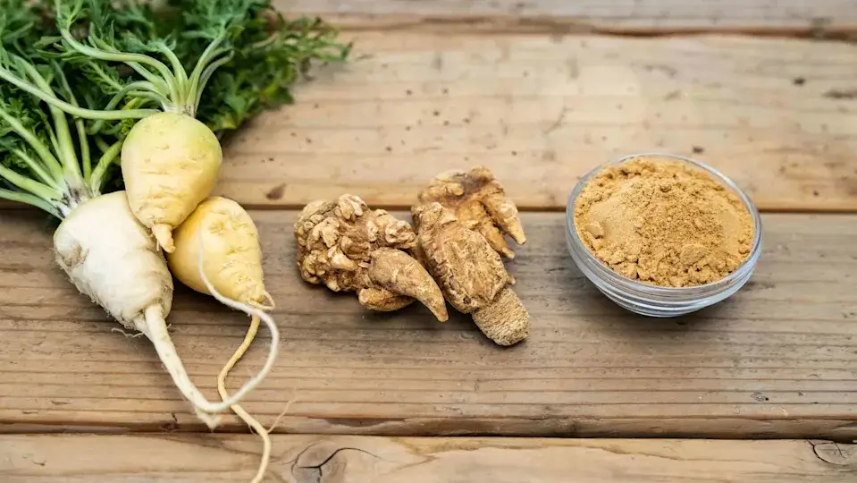Buy Maca Seeds for Planting