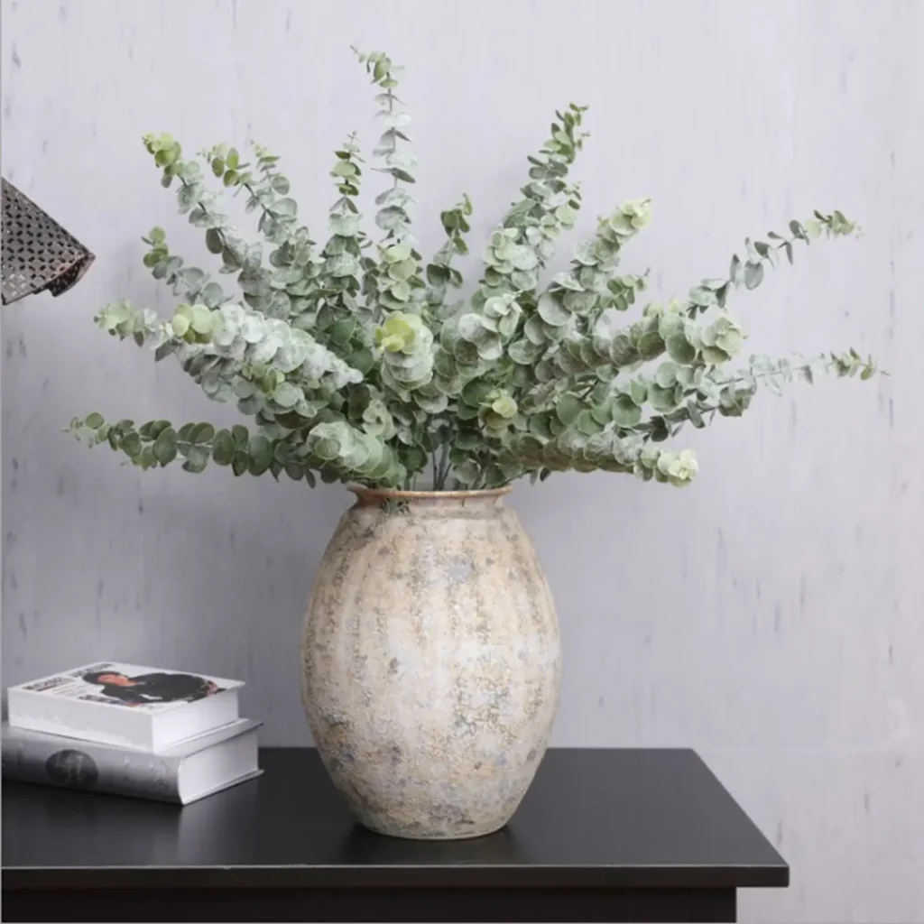 Eucalyptus Plant Indoor enhancing indoor air quality and aesthetics
